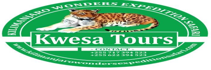 Kwesa Tours logo
