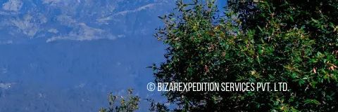 BizareXpedition logo