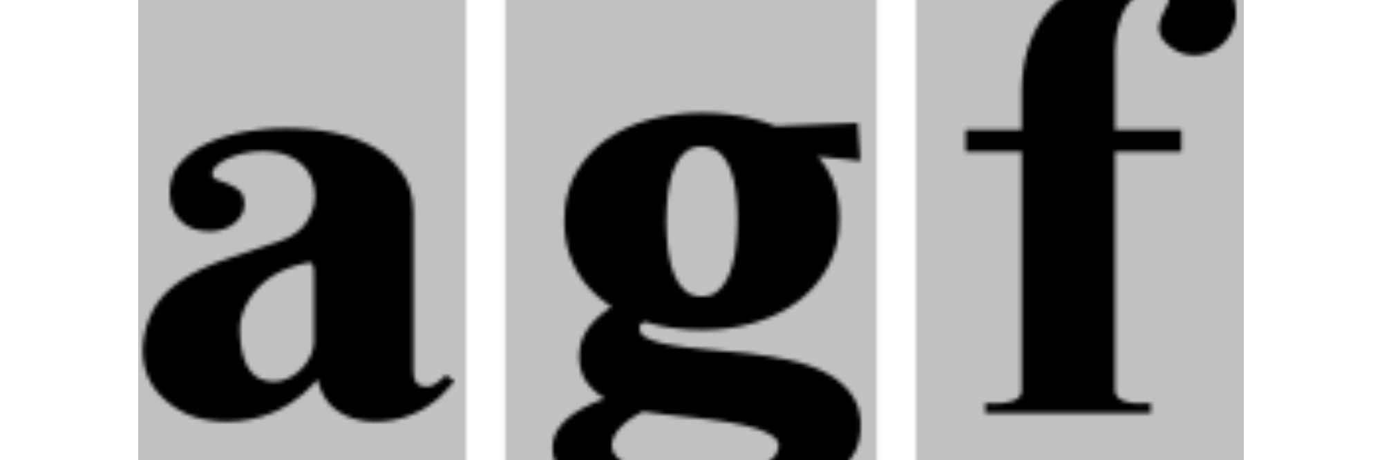 Anthony G. Ferry Inc logo