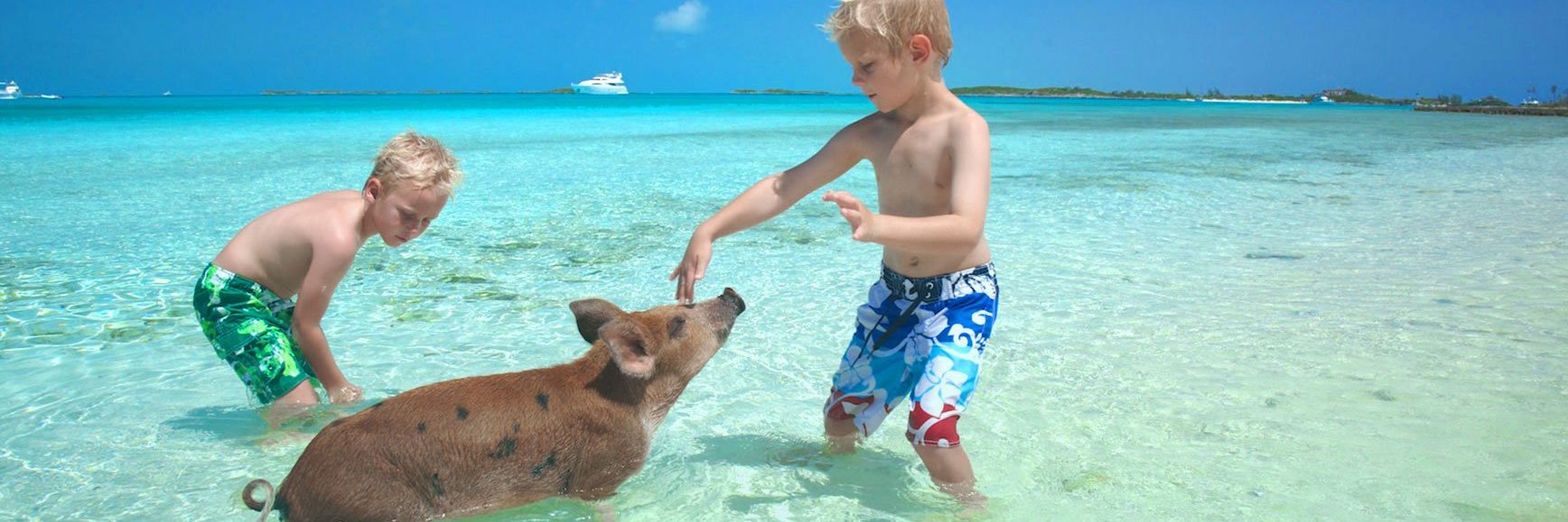 3N's Vacation Services banner