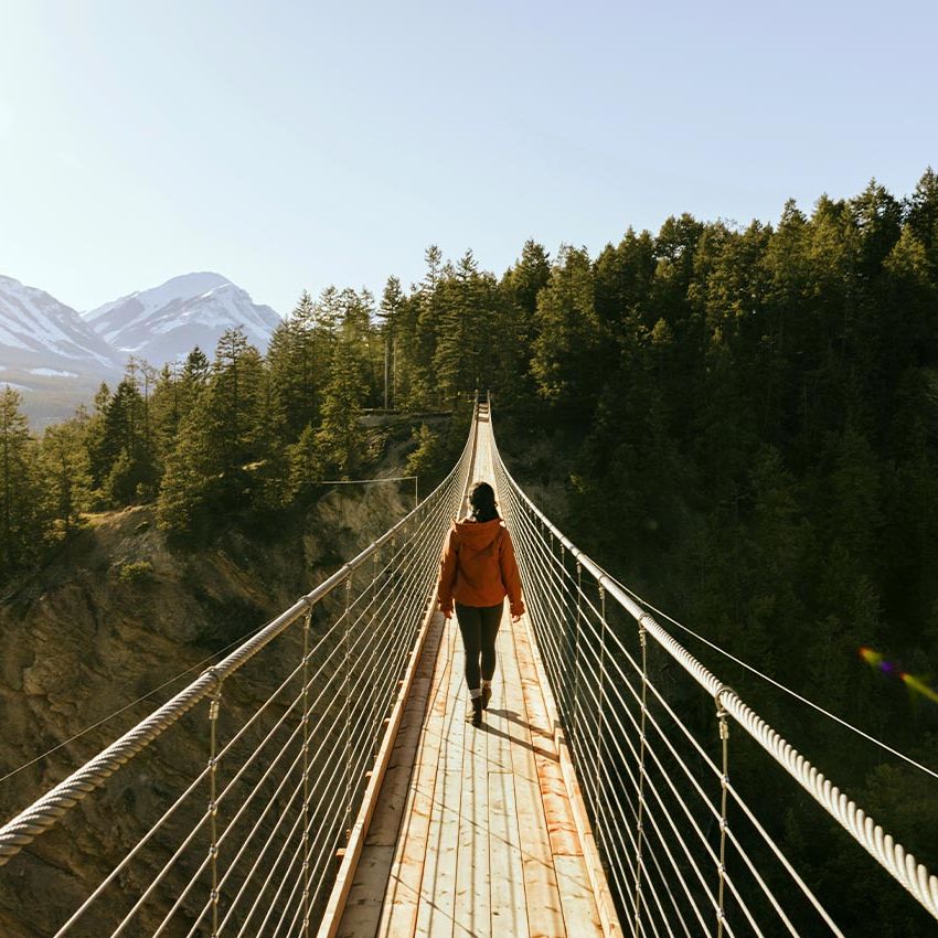 Golden Skybridge Admission