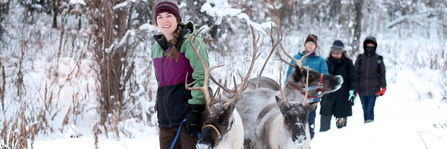 Running Reindeer Ranch banner