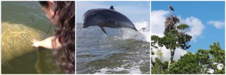 Native Tours and Fishing Charters banner