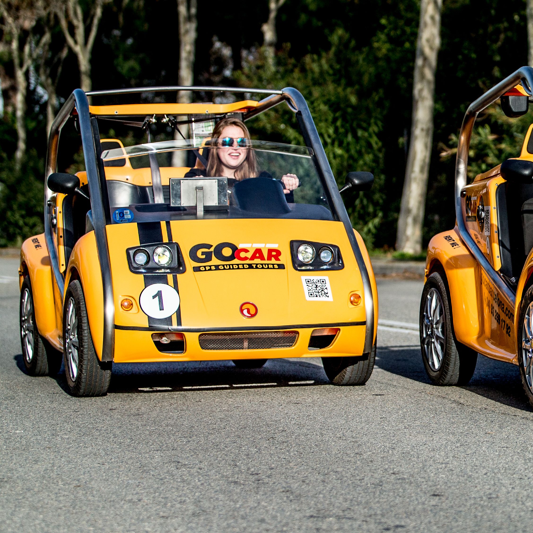 GoCar Full Day Tour