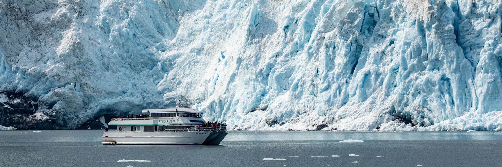 Kenai Fjords Tours banner