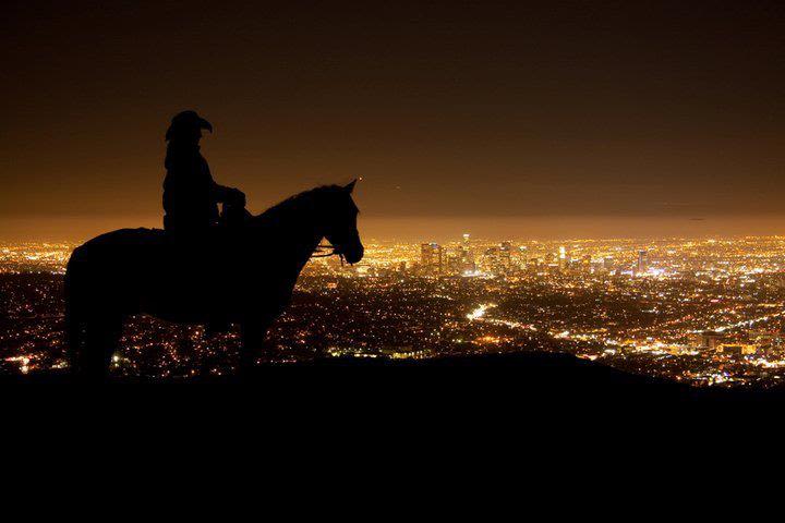 Mt Hollywood Evening Tour