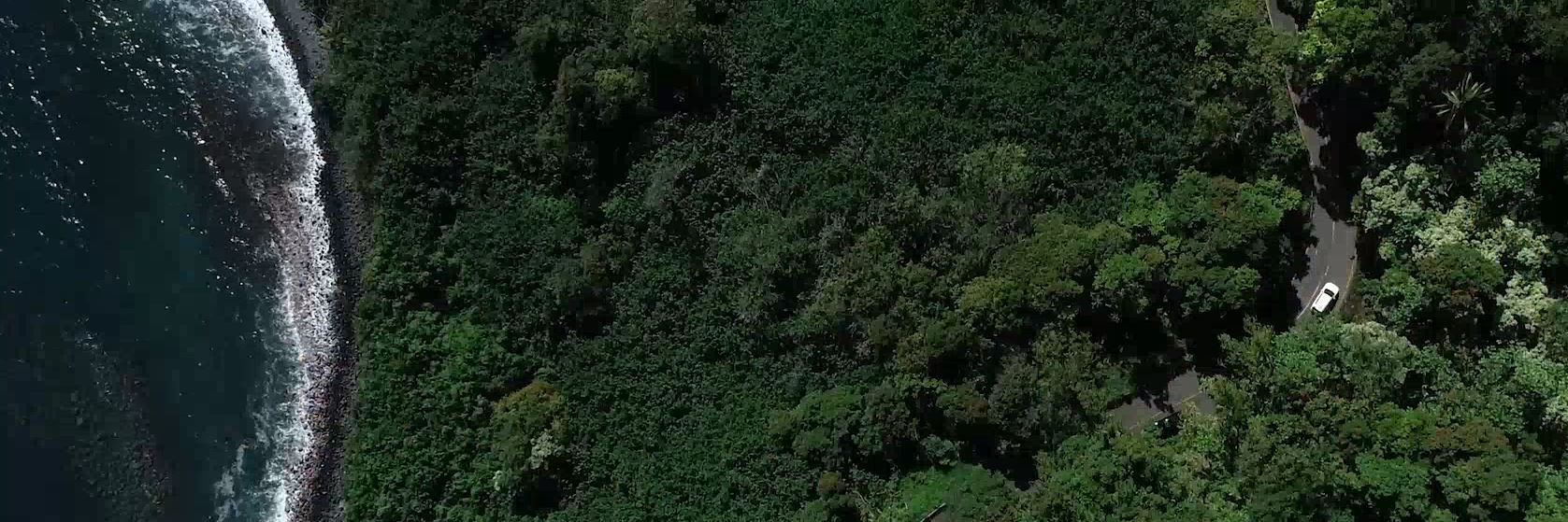 Hoaloha Jeep Adventures banner