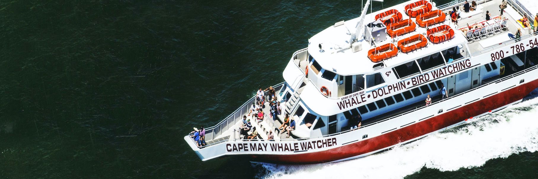 Cape May Whale Watcher banner