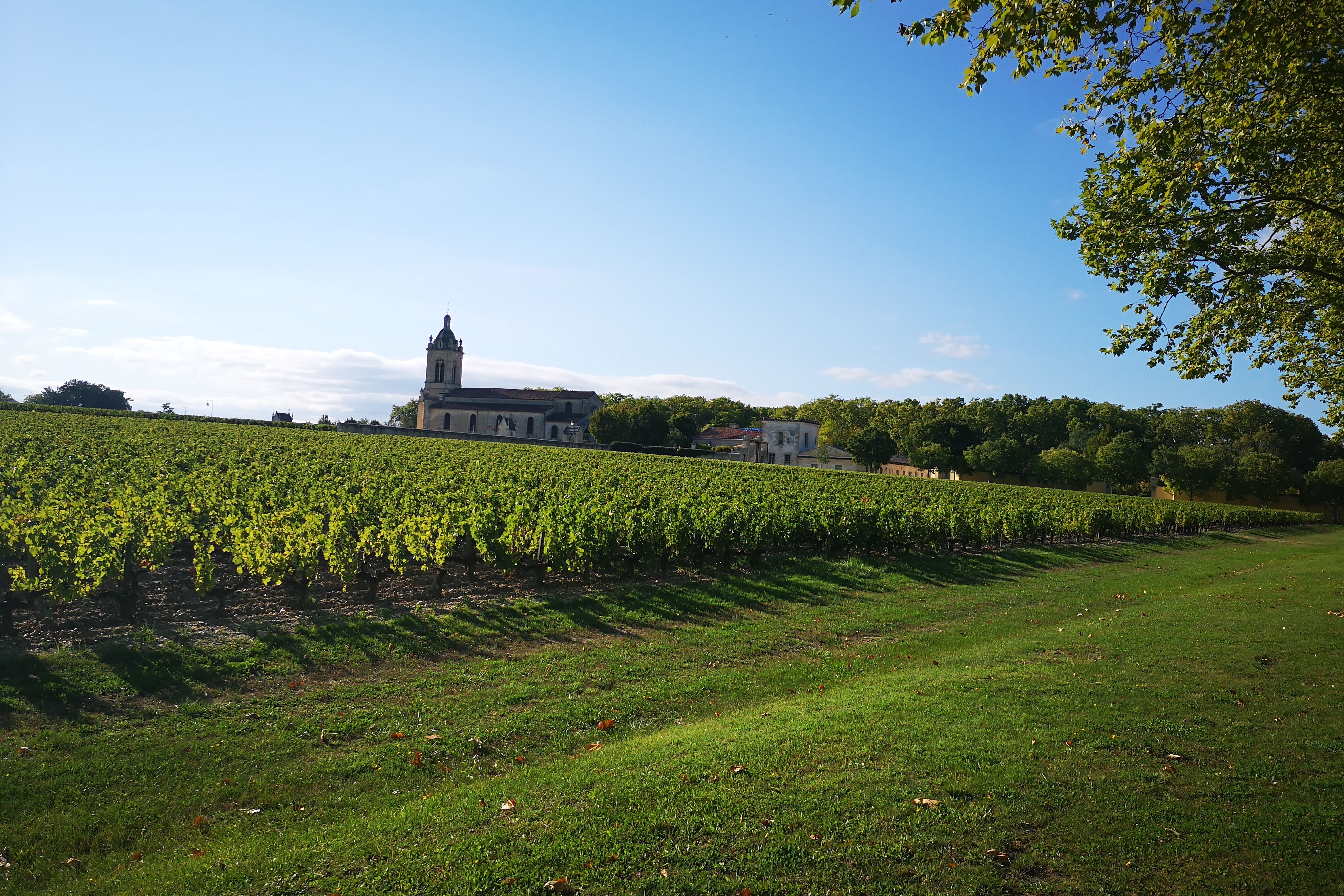 Medoc Wine Tour Half Day Trip From Bordeaux (shared)