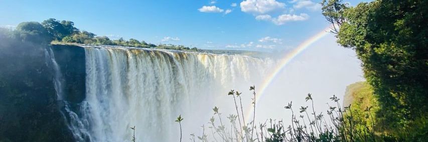 Dream Africa Vacations banner