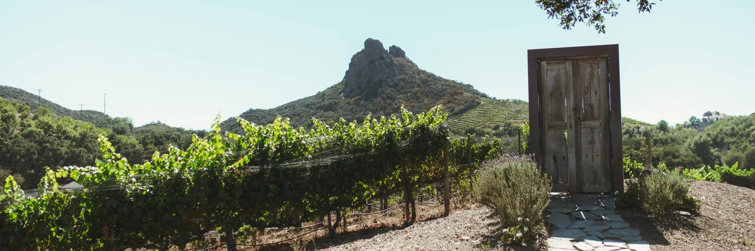 Malibu Wine Hikes banner