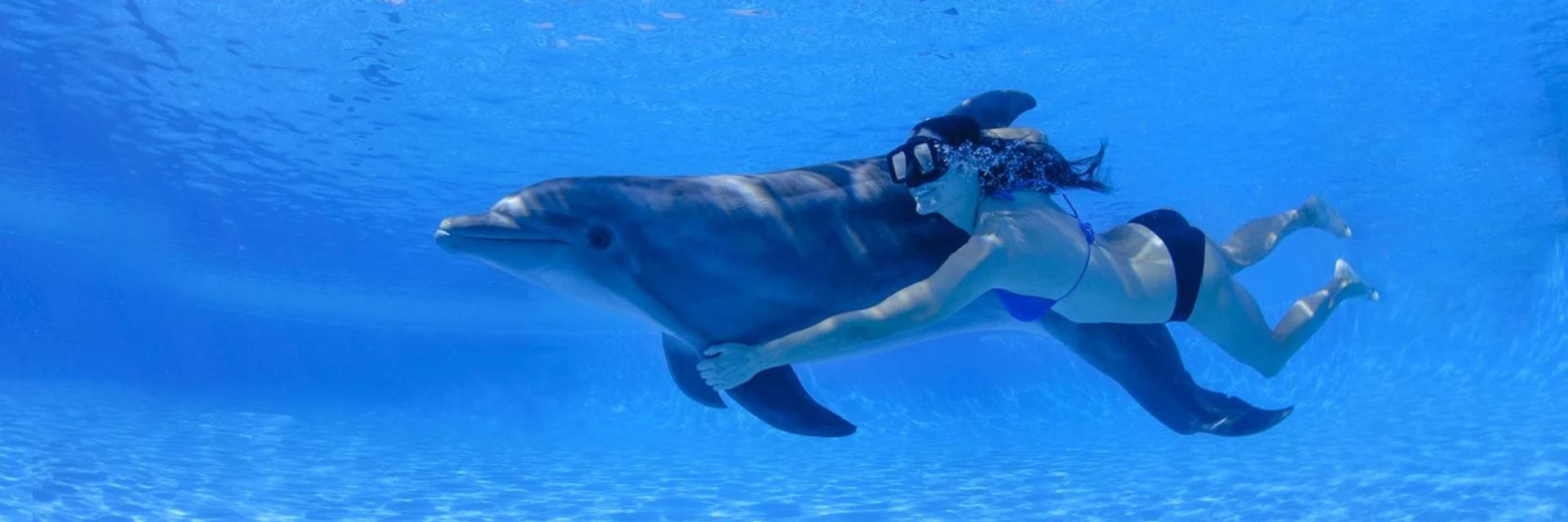 Cabo Adventures banner