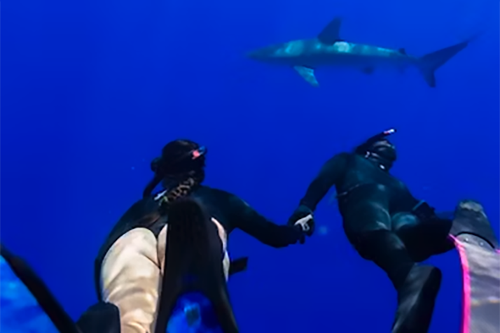 Deep Water Snorkel w/ Sharks: Cageless 