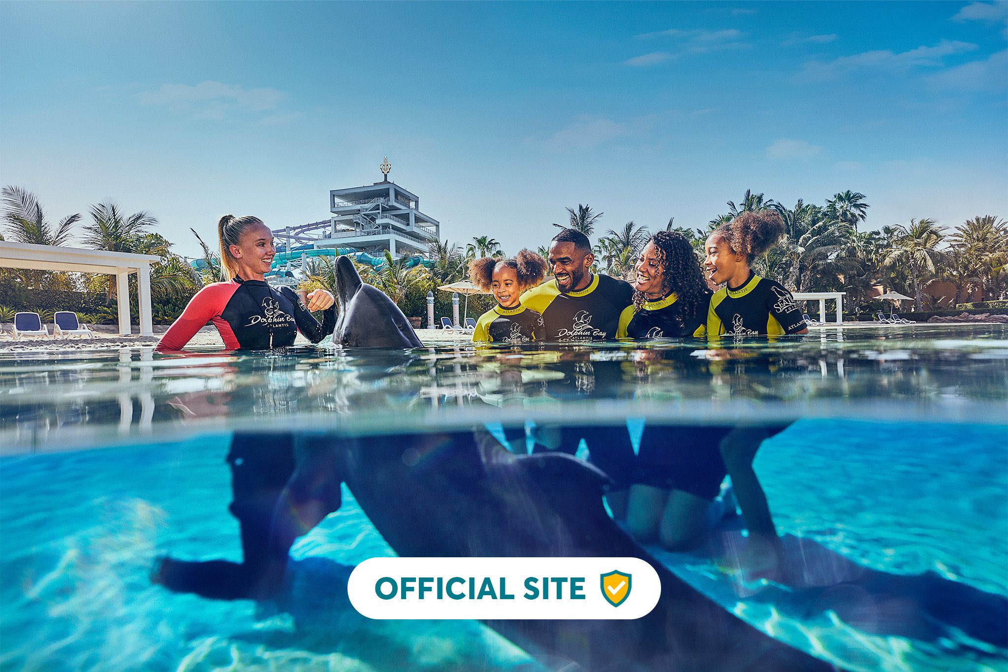 Dolphin Encounter