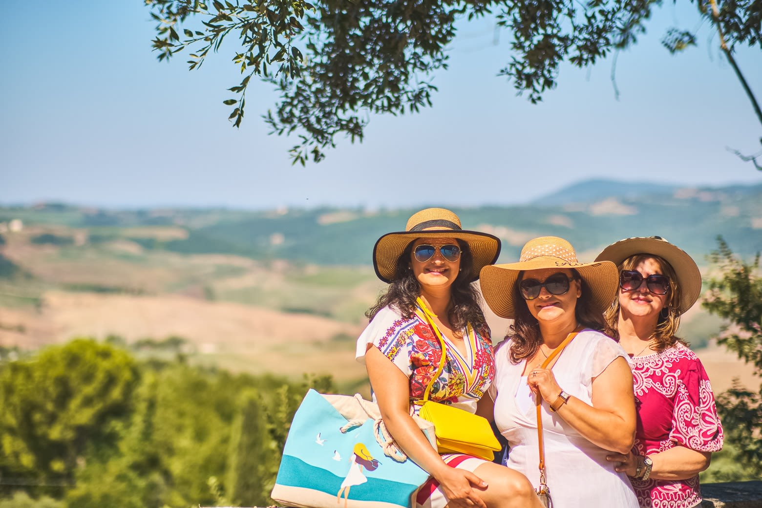 Val d’Orcia Day Trip with Two Wine Tastings from Florence