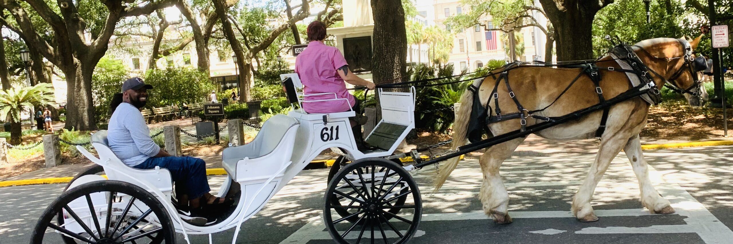 Carriage Tours of Savannah banner