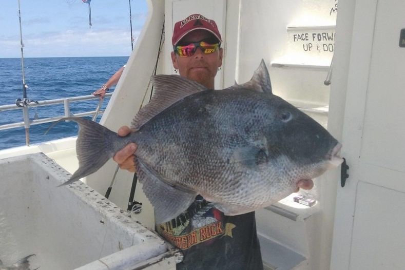 Deep Sea Fishing Adventure from Panama City Beach