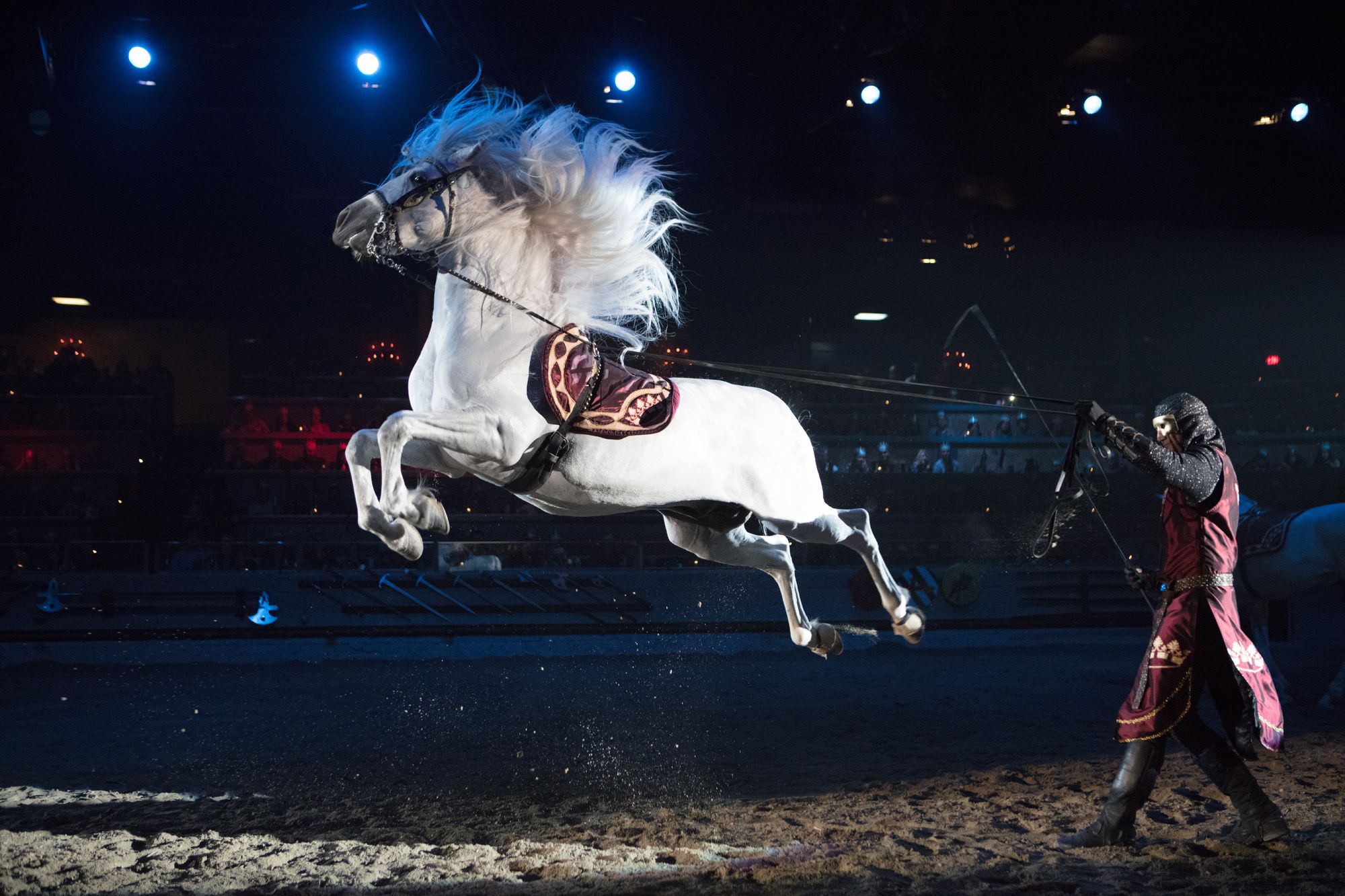 Medieval Times Myrtle Beach Dinner Theater - New Show!