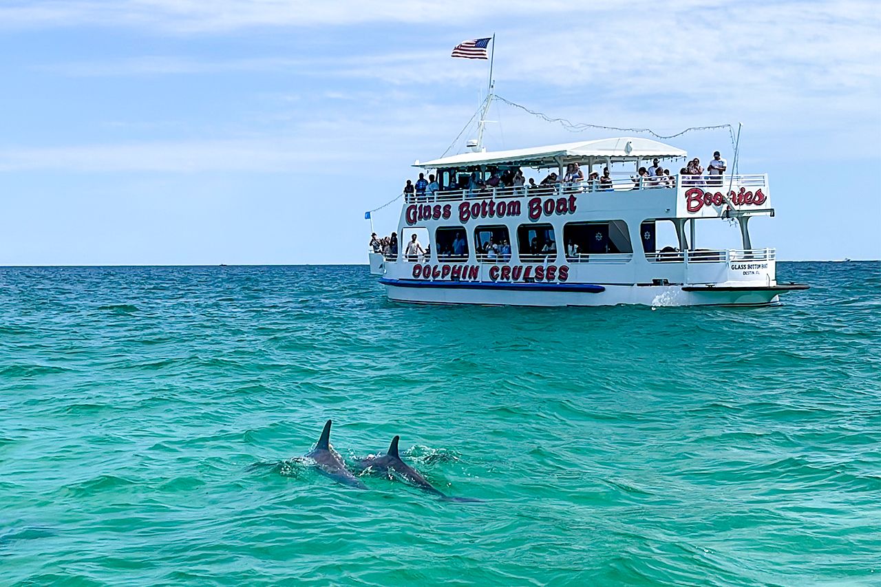 Destin Daytime Dolphin Cruise