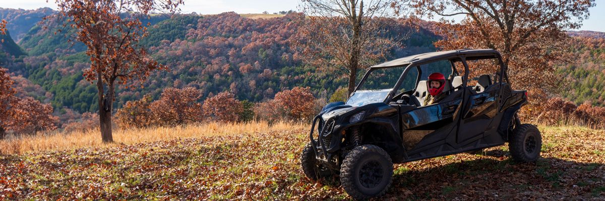 Hog Wild Adventures banner