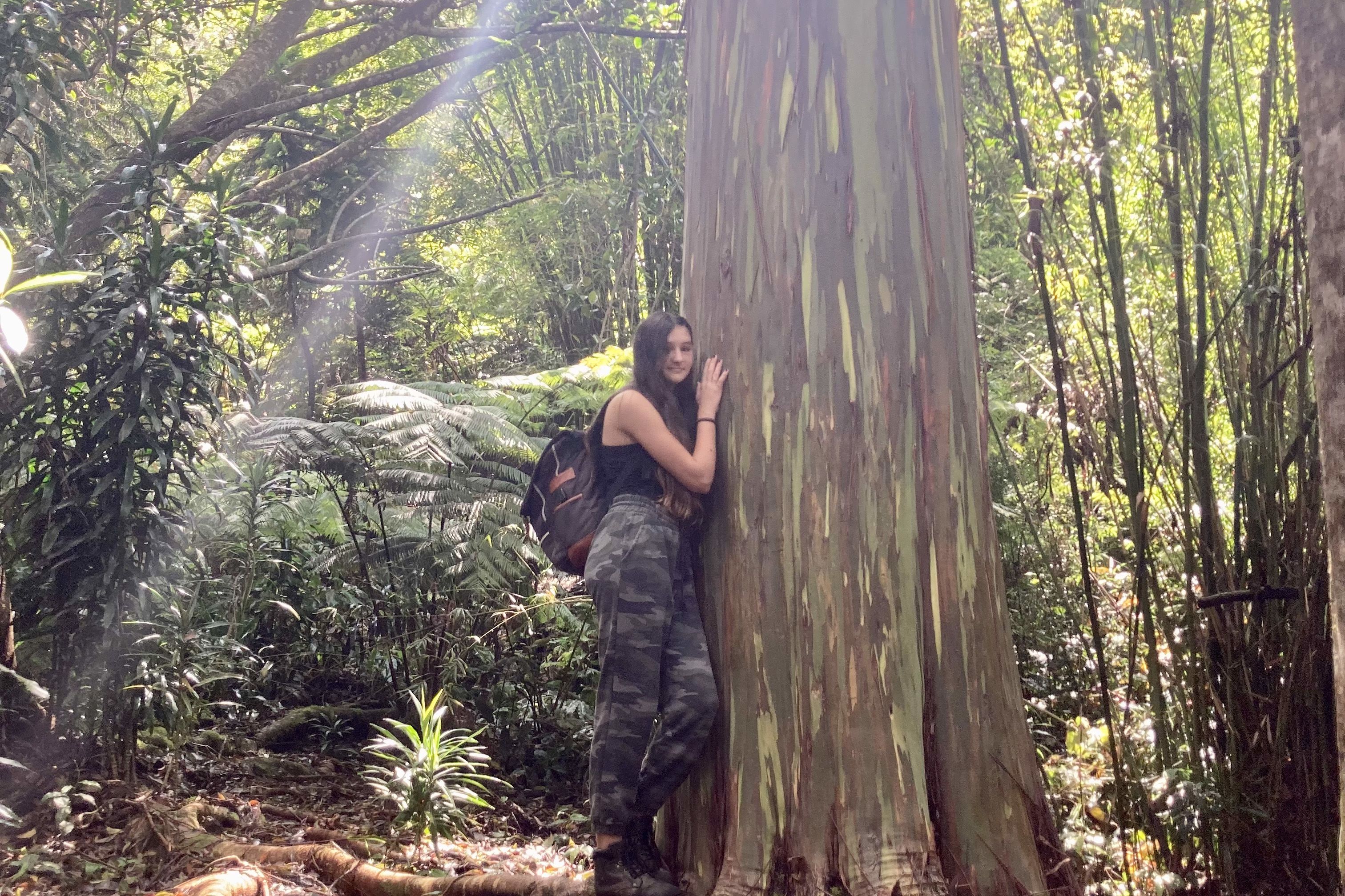 Cloud Forest Tour- (2.5hrs) Montane Jungle Trail Kailua-Kona