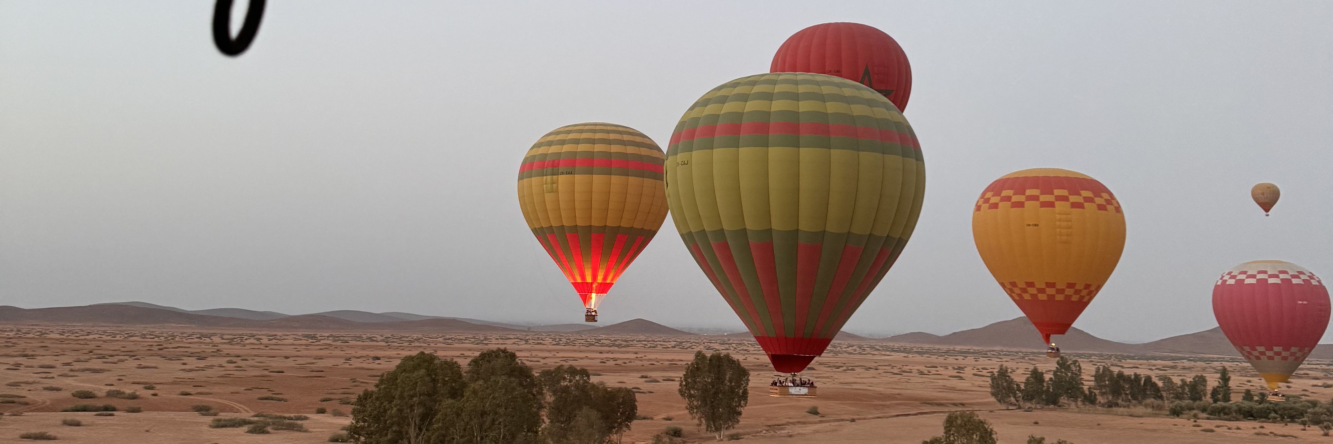 Touareg Trails banner