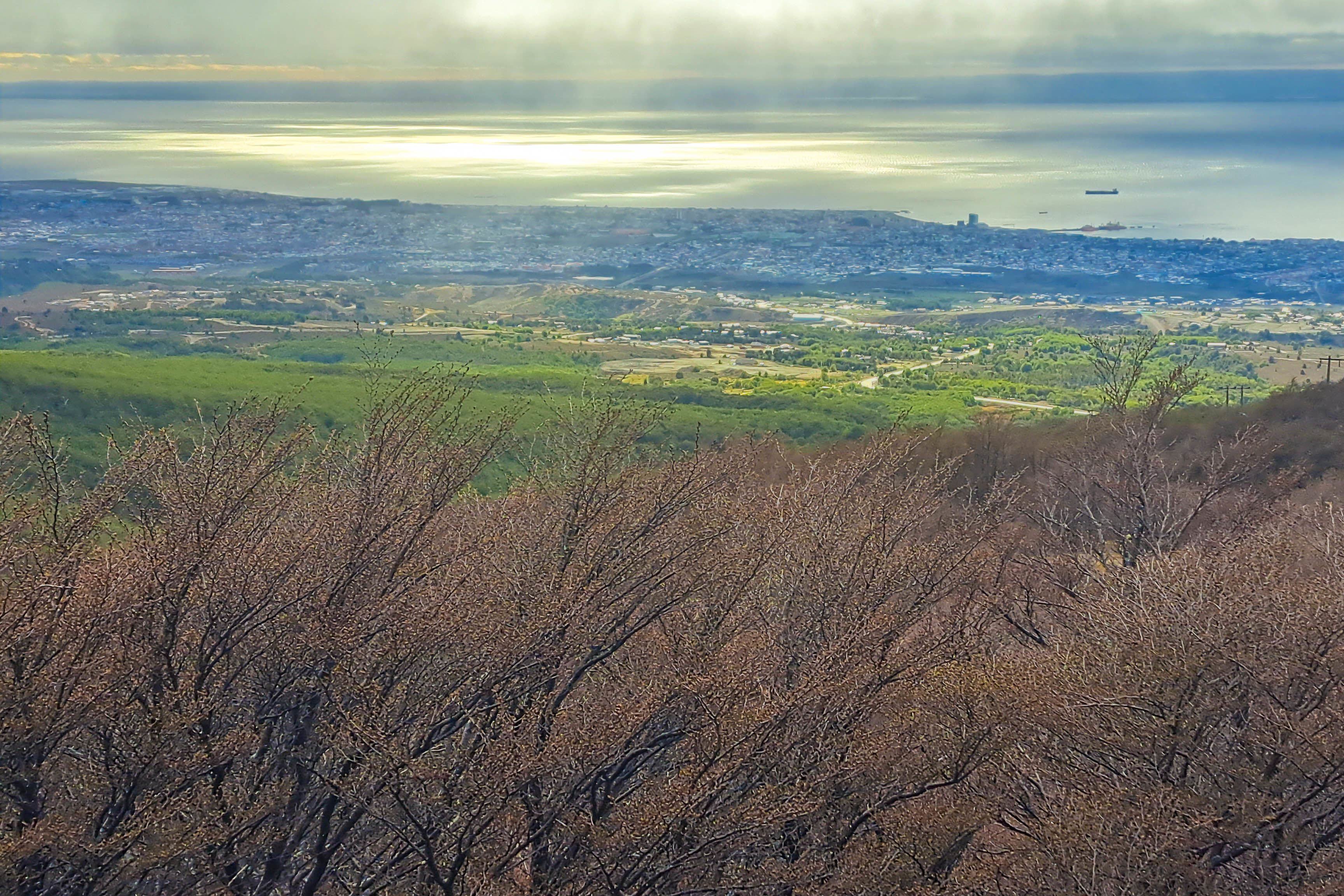 6‑Hour Patagonian Forest Hiking Tour in Punta Arenas