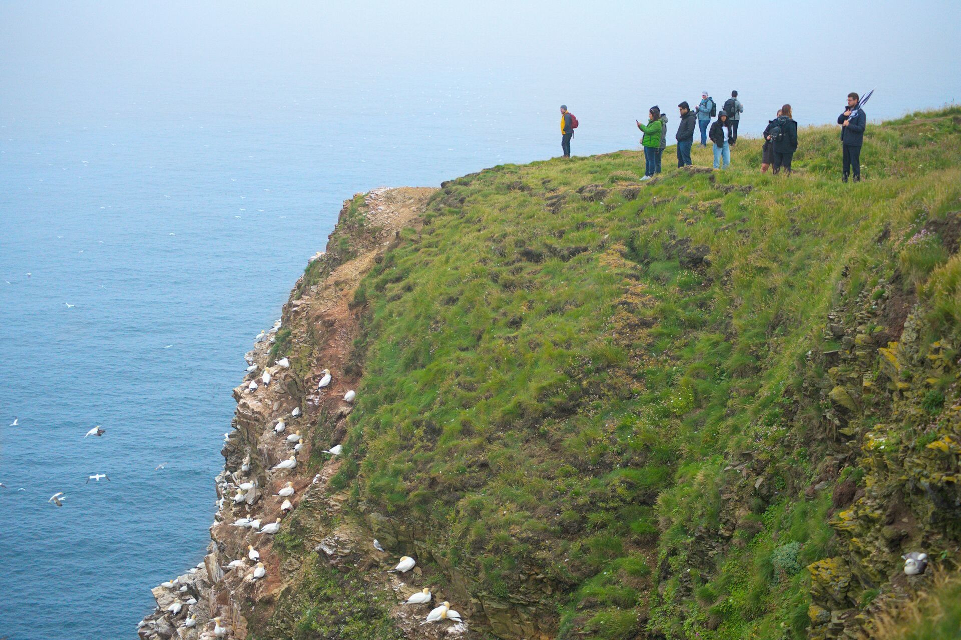 Moray Coast, Wildlife & Speyside Whisky Explorer Day Tour