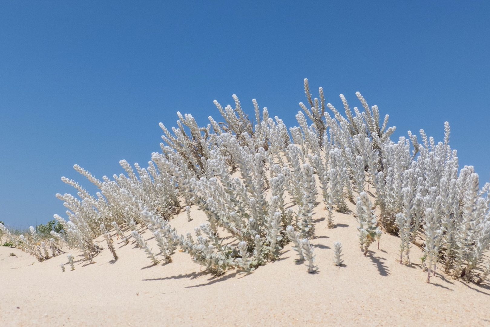 Ria Formosa Kayaking Tour from Faro, Algarve