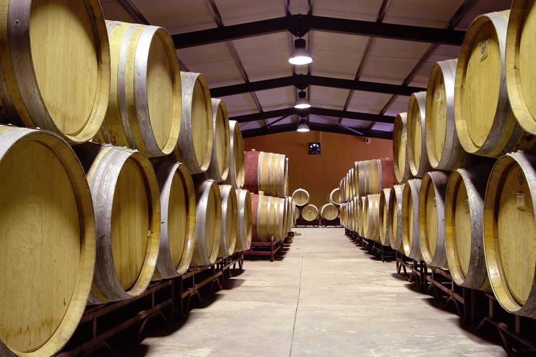 Douro Valley Private Tour (All-Inclusive)