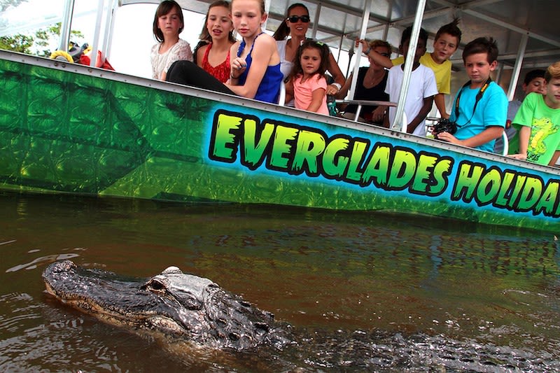 Miami Everglades Airboat Tour with Transportation