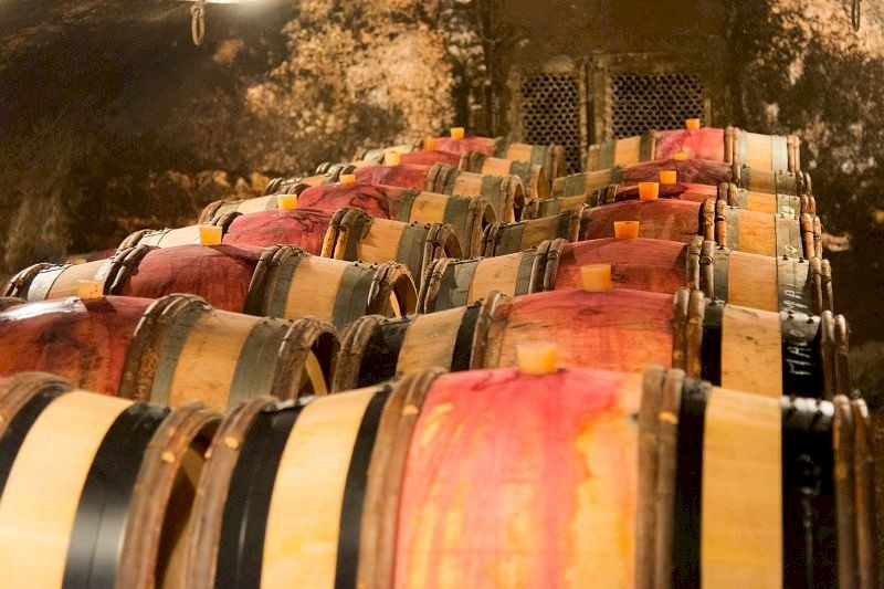 Côte de Beaune Half-Day Wine Tour from Dijon ( Shared )