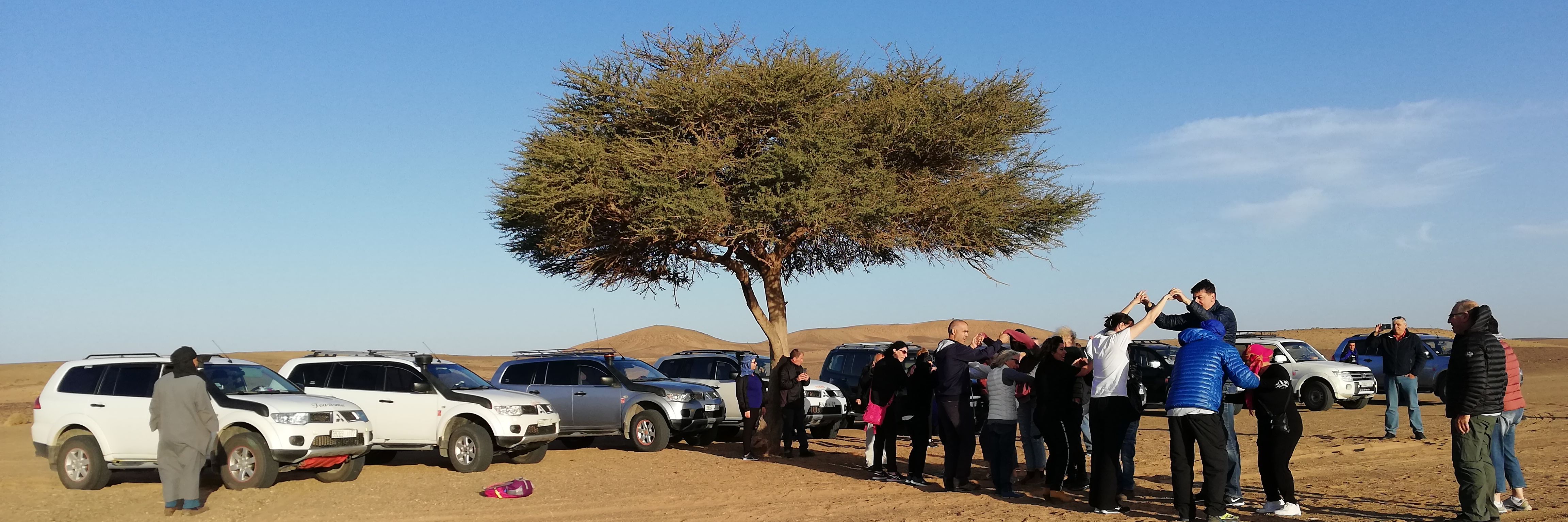 https://moroccoservicetours.com/ banner