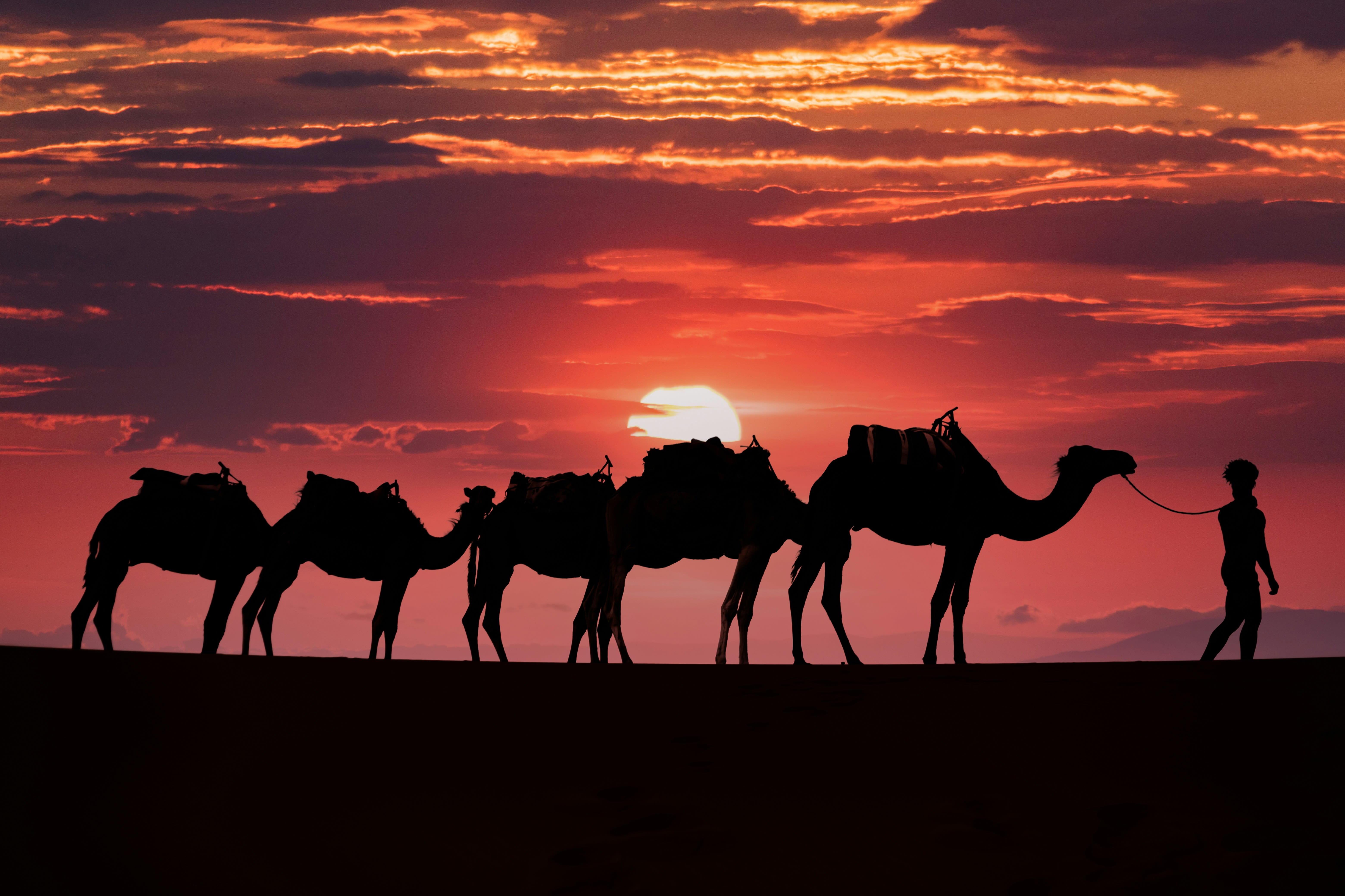 Morocco Mystical Tours  banner