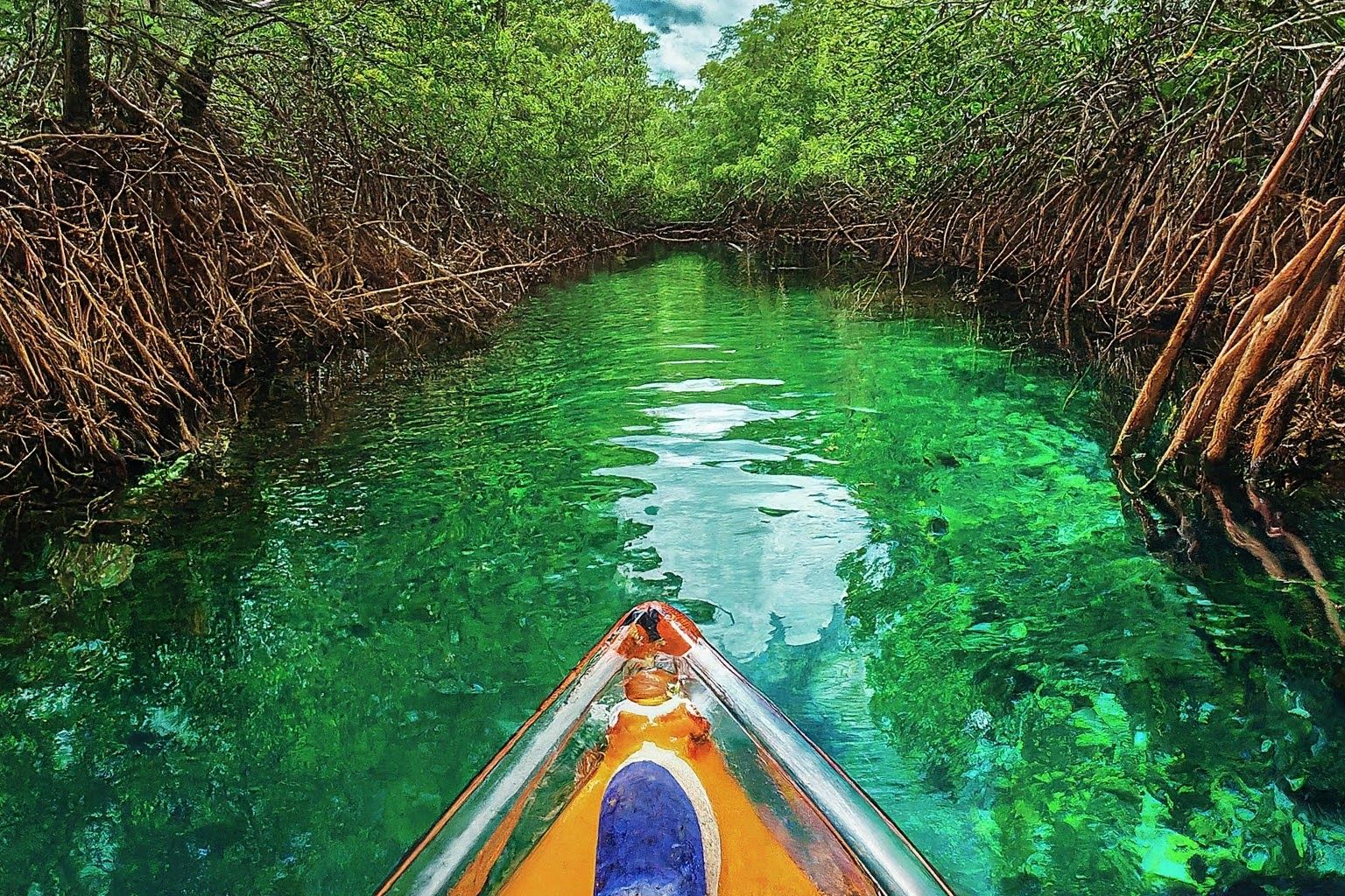 Miami Clear Kayak Tour