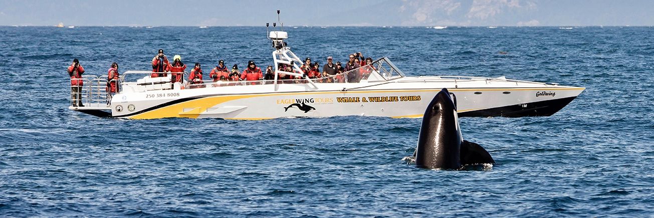 Eagle Wing Whale & Wildlife Watching Tours banner
