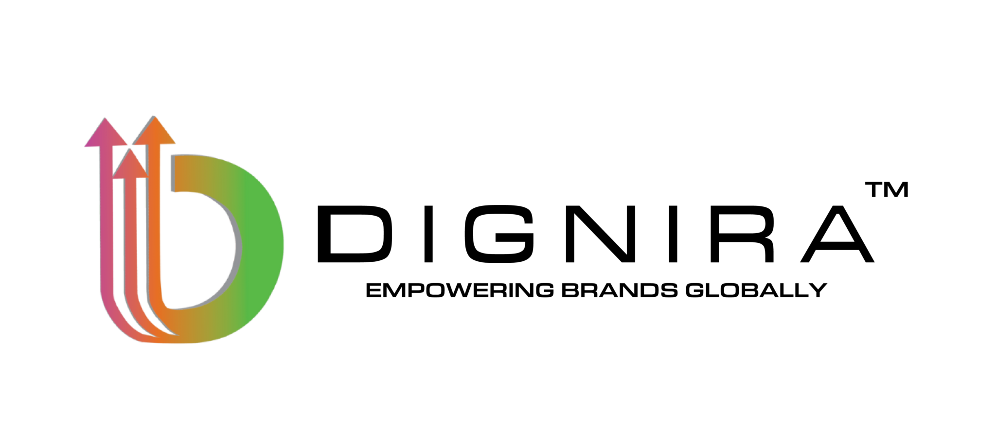 Dignira Marketing Pvt Ltd banner