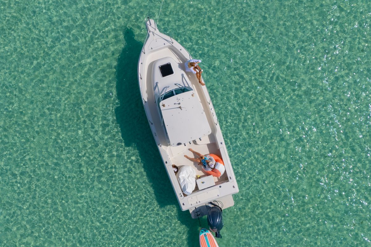 Private Destin Dolphin Cruise for Families | Ohana Time
