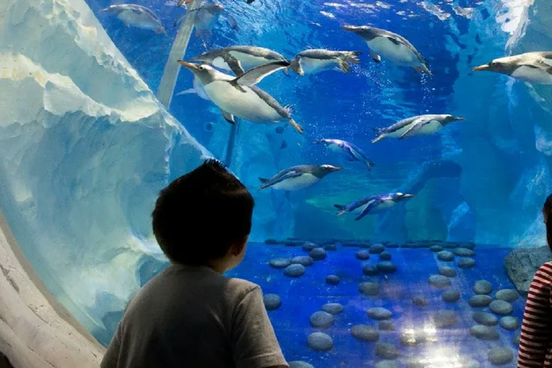 Seaquarium Le Grau-du-Roi: Billet d'entrée
