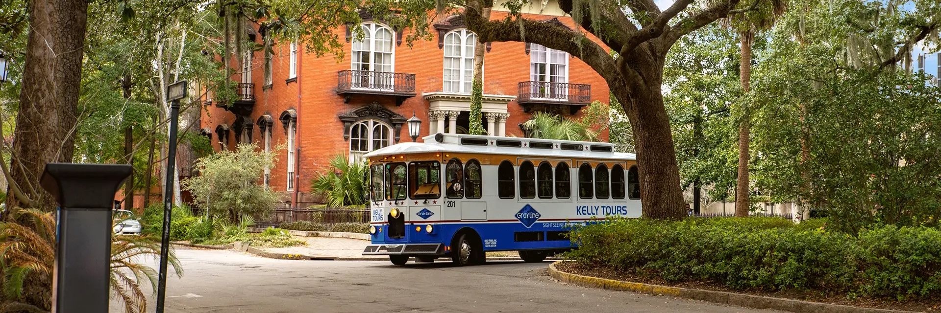 Gray Line Savannah banner