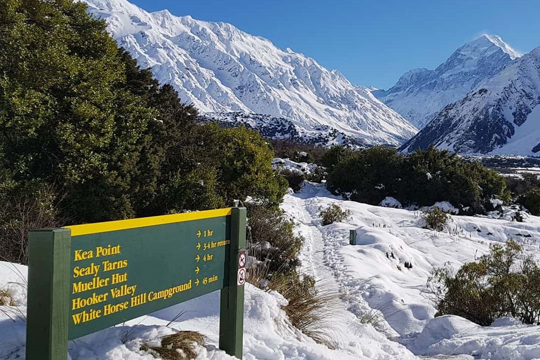 Mt Cook & Ultimate Alpine Experience Small Group Tour Package from Queenstown