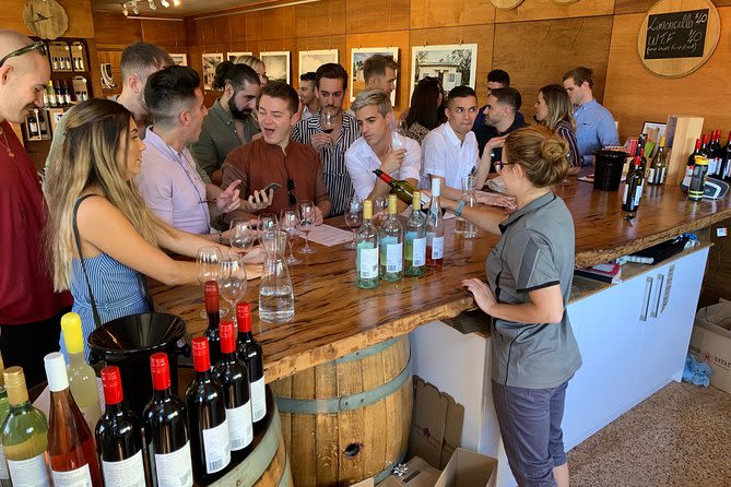 Premium Small Group Wine Tour (Departs Margaret River)