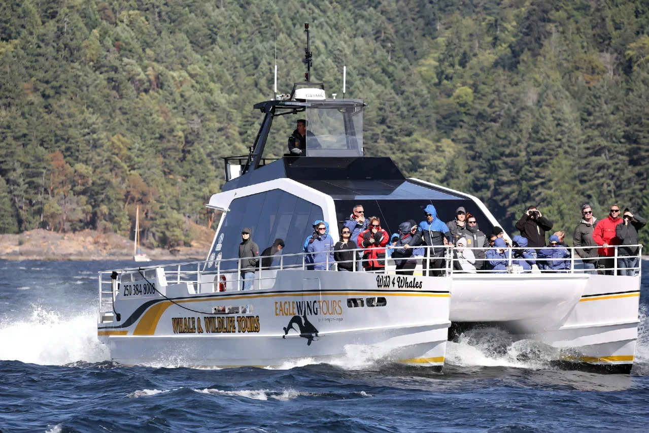 Wild 4 Whales Day Tour