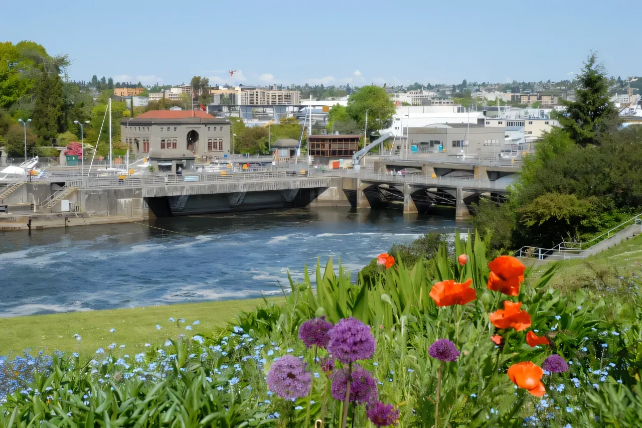 Seattle City Tours