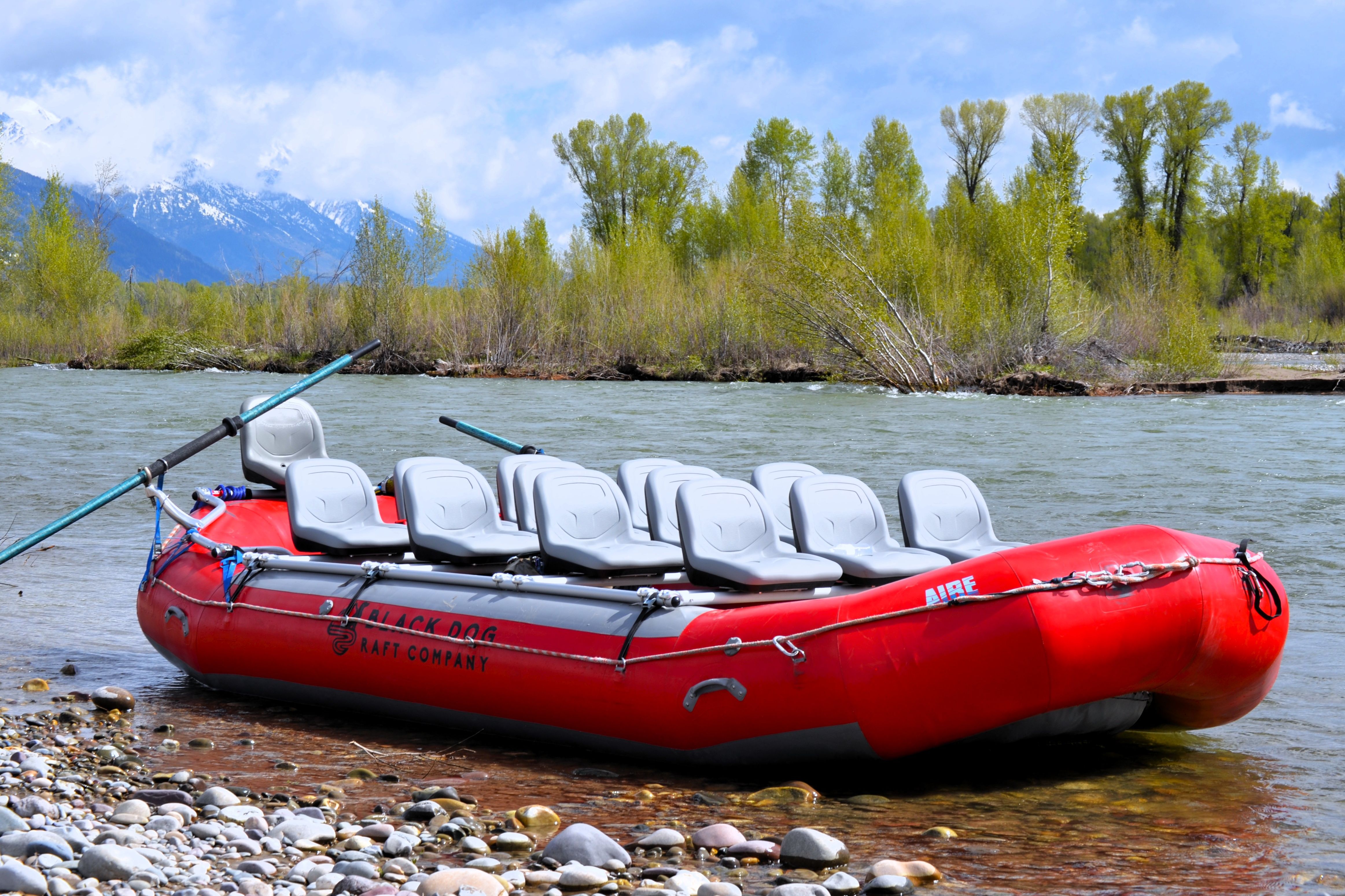 Jackson Hole Scenic Float on the Snake River
