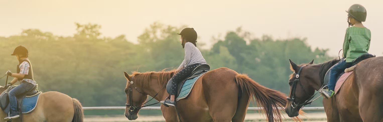 Shadow Glen Stables banner