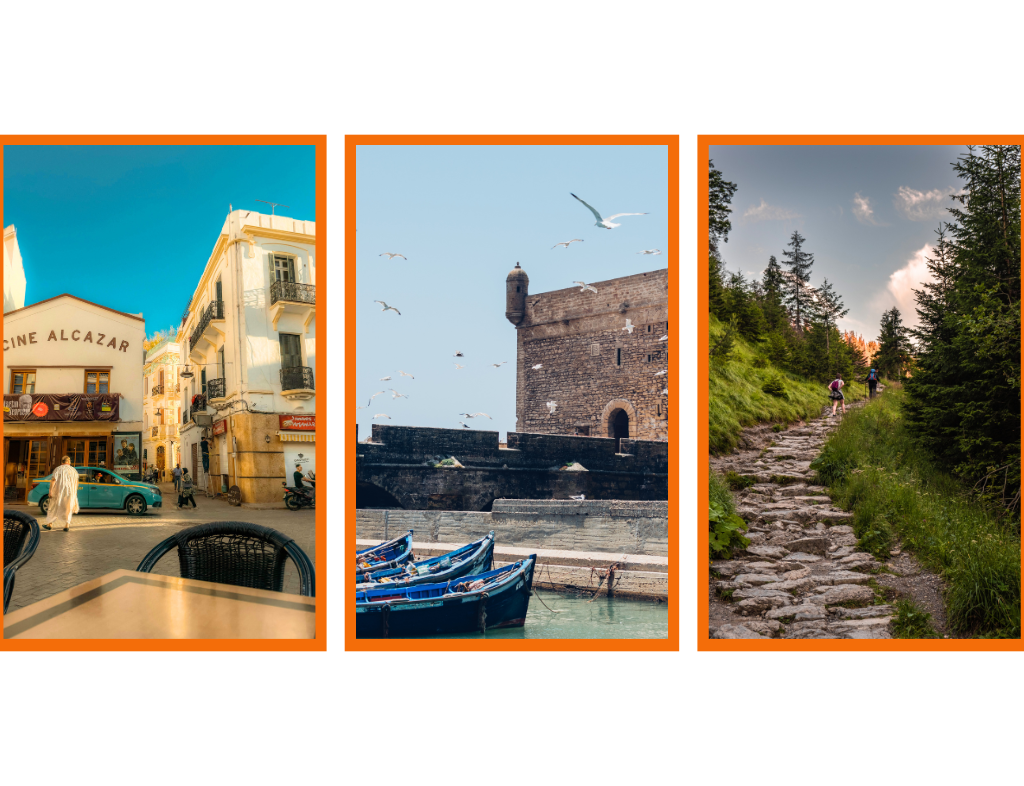 Sahara Serenity Tours banner