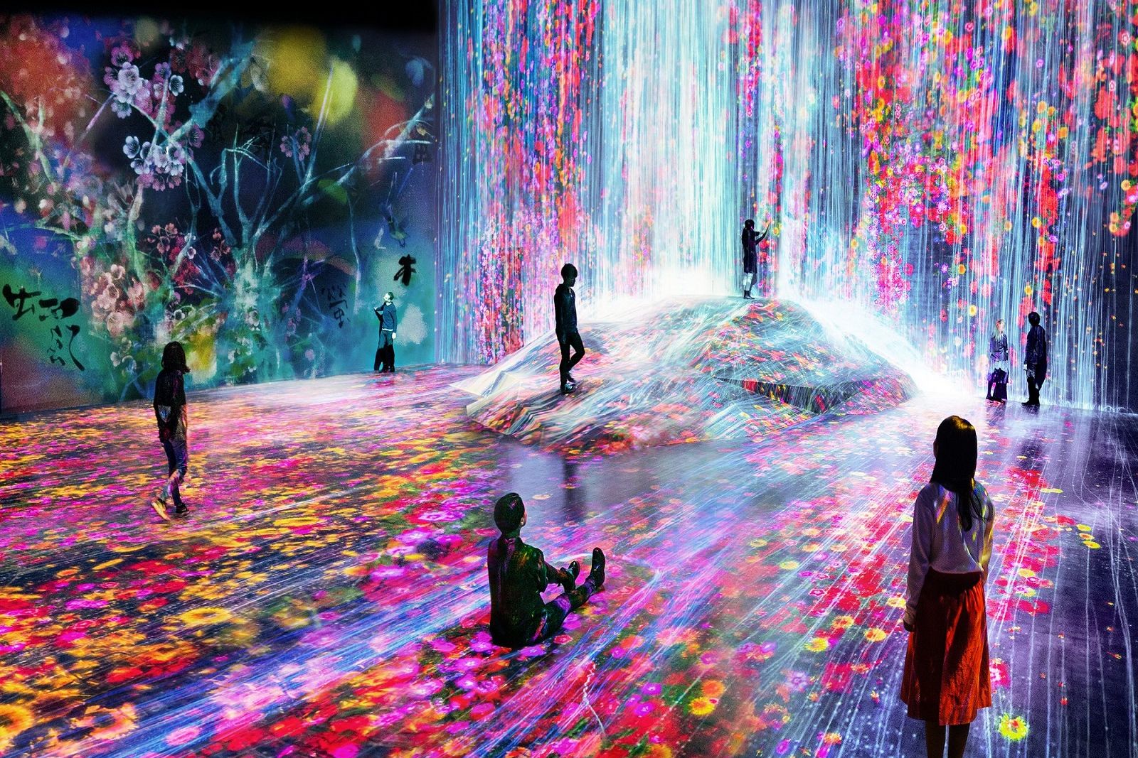 teamLab Borderless Tokyo Admission Tickets