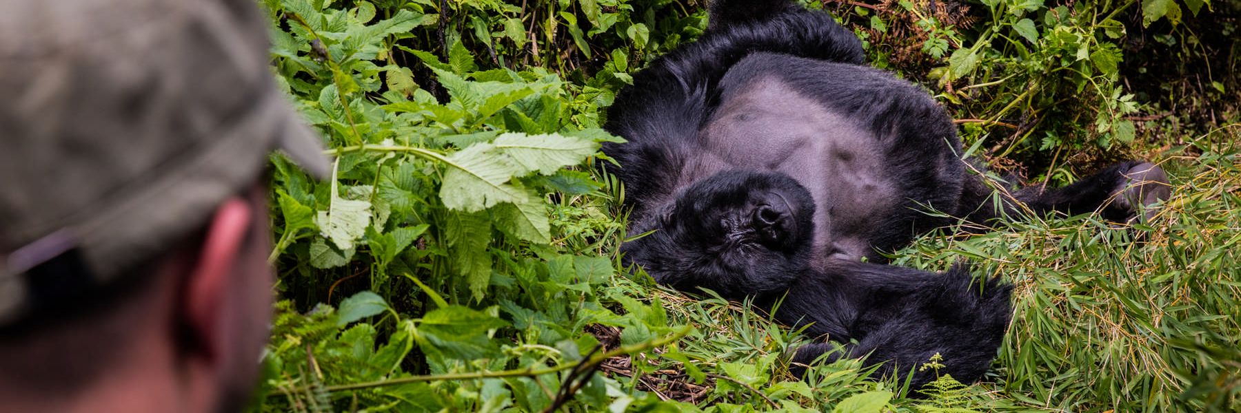 Nandi Adventures banner