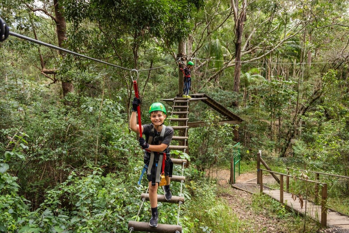 Tamborine Mountain TreeTop Challenge